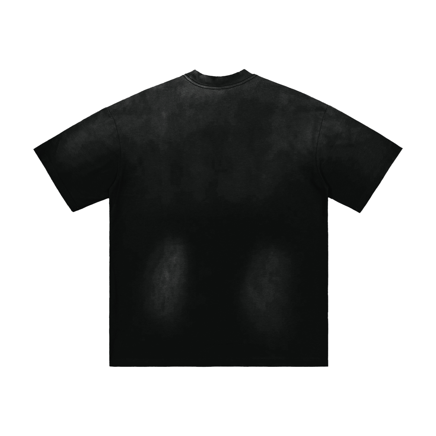 SSN Hand-Frayed Sunfade Tee